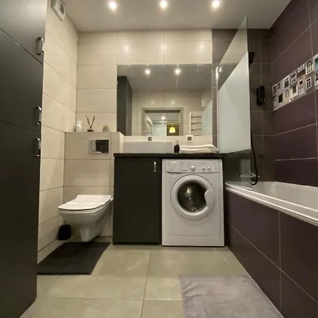 Majakowskiego Dg Apartment Dabrowa Gornicza